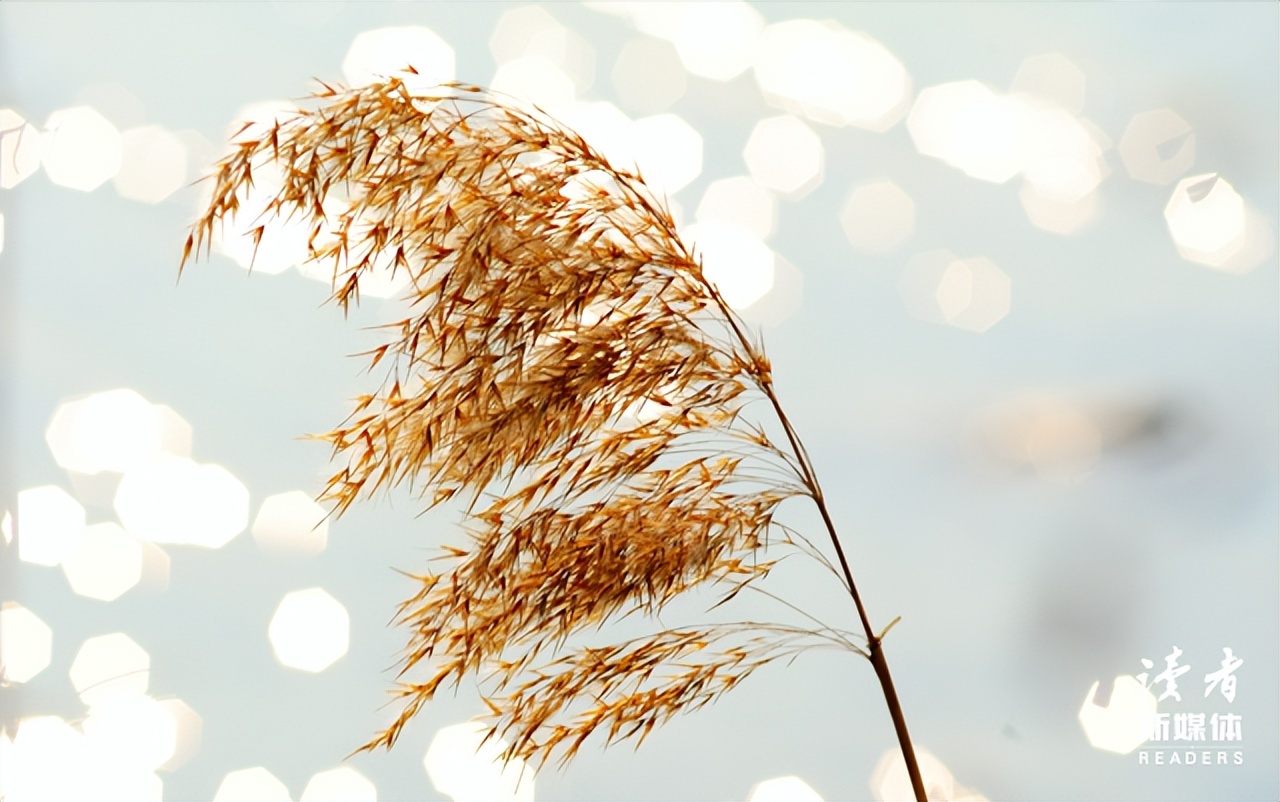 你随礼的样子暴露了你的层次,你随礼的样子暴露你的层次