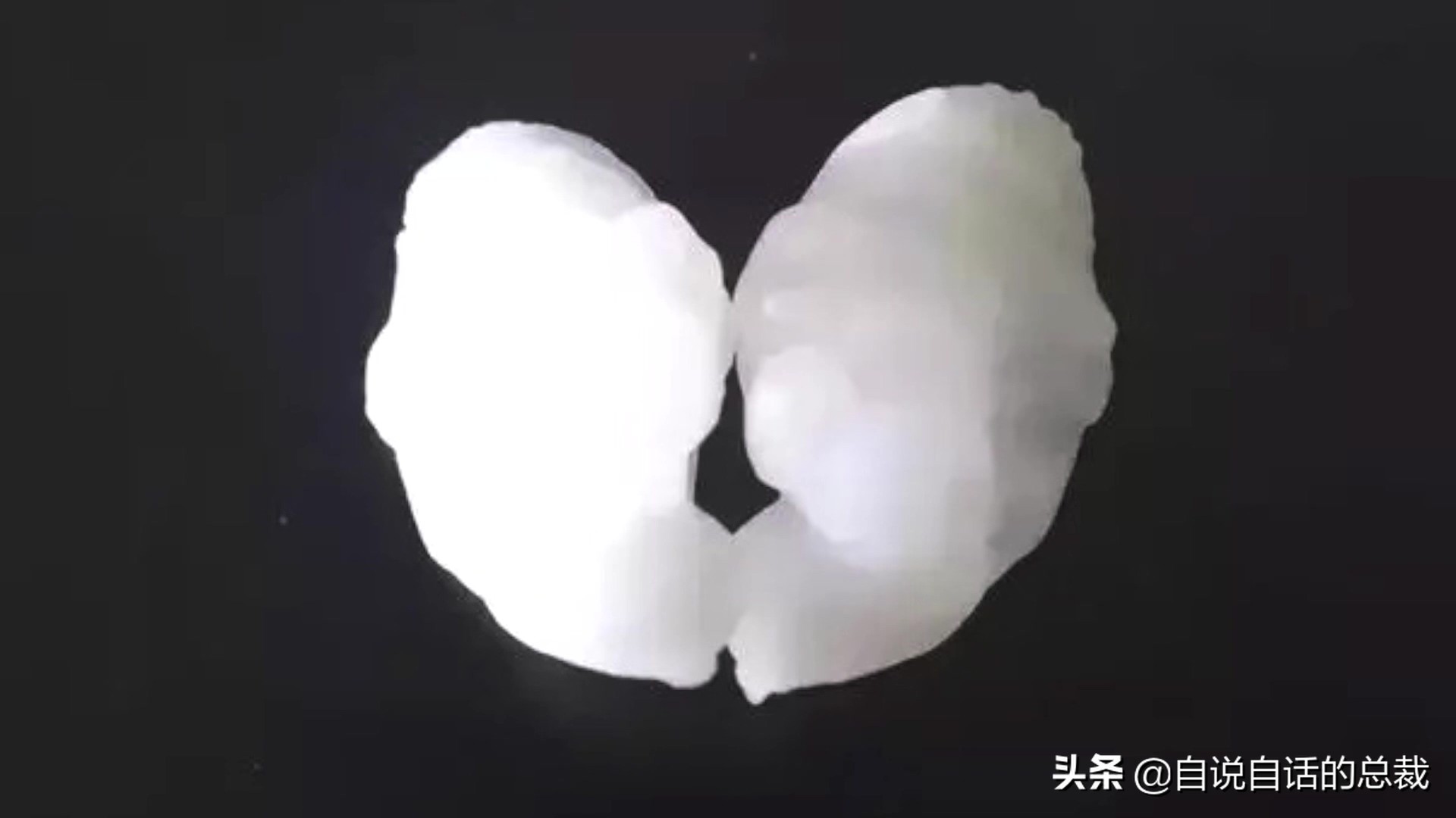 目前野生大黄鱼为什么这么贵,大黄鱼最贵价格多少钱一斤