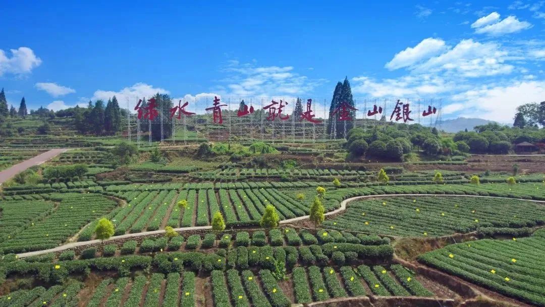 请查收！20个农业重大项目投资机会清单出炉！