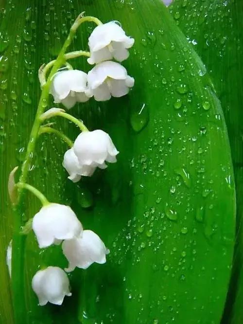 怎样保持一段长久关系,怎样的关系才会长久