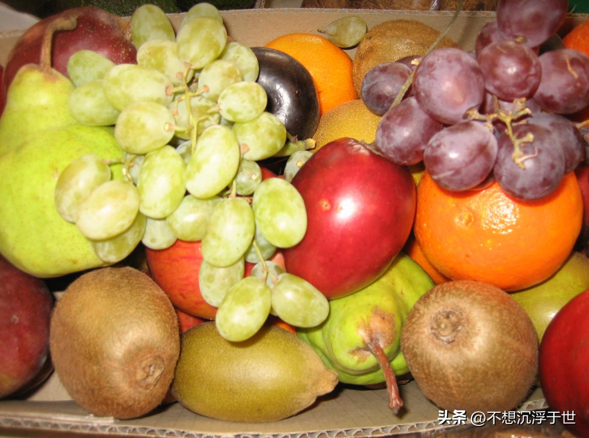 新西兰满街水果,新西兰路边水果图片