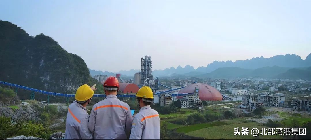 3家企业获全国表彰,3家企业入选省工业龙头企业名单