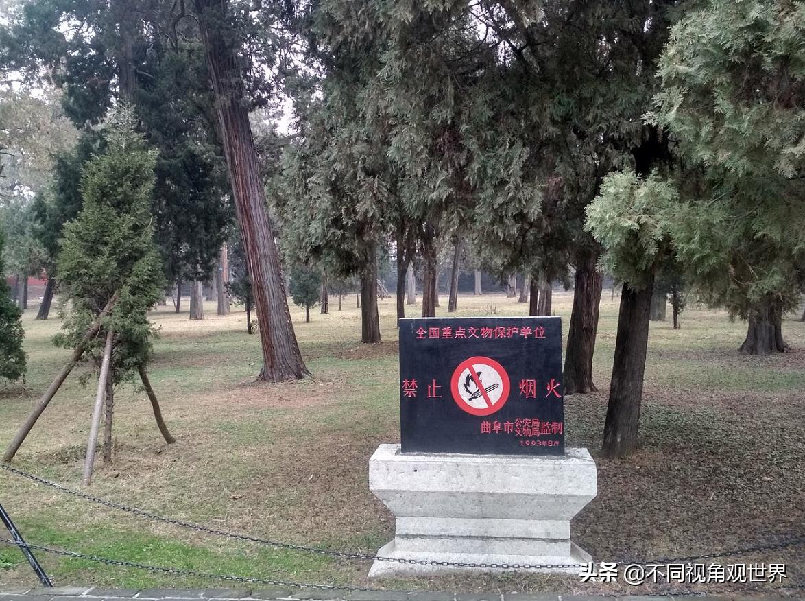 孔府孔林观赏地点,孔府孔林是什么地方