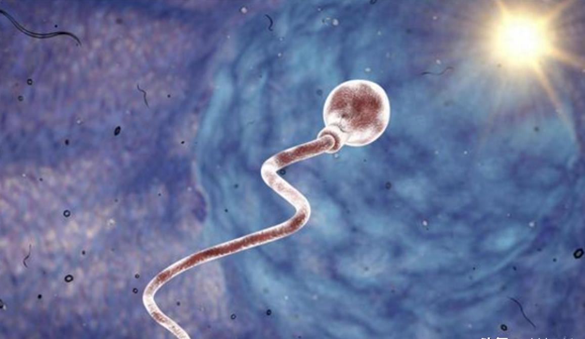 科学家精子运动违背牛顿第三定律,精子科学家