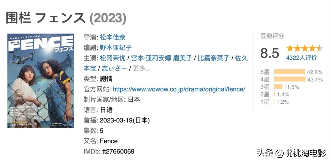 6个月过去了，这些好剧我们不该忘记