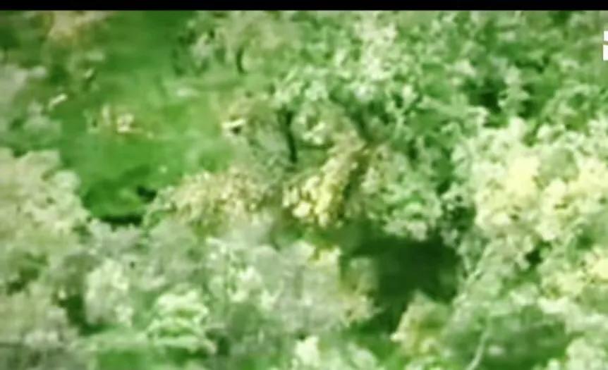 消失的她主要讲述的是杀妻案吗,电影消失的她杀妻骗保