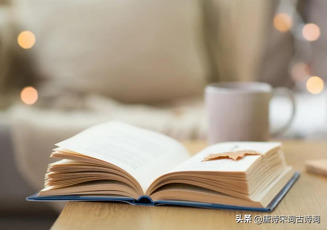 枕上诗书闲处好解释,枕上诗书闲处好讲解