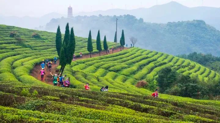 浙江多地景区官宣免票或优惠,浙江多地景区宣布免费