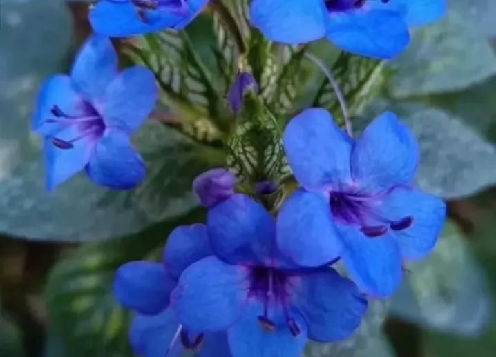 成功人士不轻易分享的自学秘诀,自学能力决定人生的高度和方法