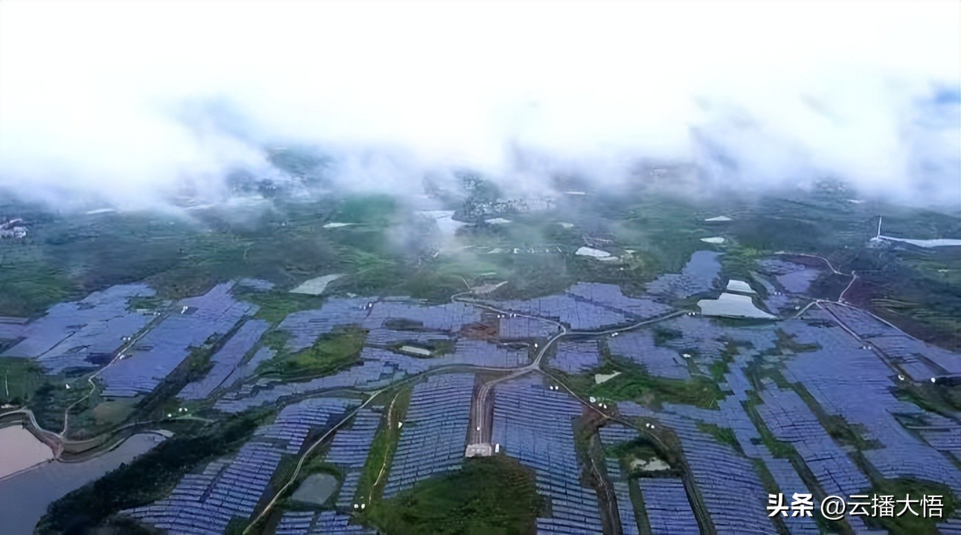 孝感大悟抽水蓄能电站,大悟抽水蓄能电站最新消息