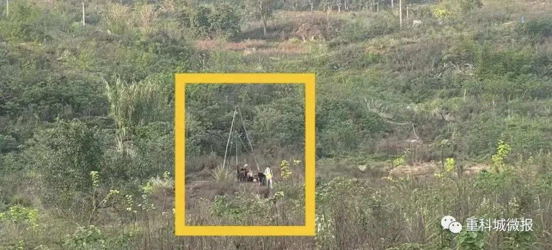 这所学校项目已经进场了…