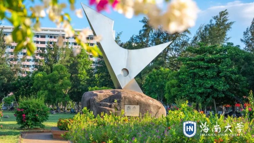 阅山海,明珠灿!2023,来海南大学,逐梦远航,启精彩未来!