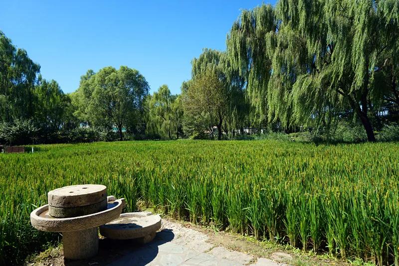 海淀公园相亲小程序,海淀公园相亲角