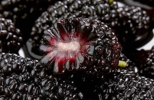 4月份物美价廉的应季水果,每年4-6月份的应季水果有哪些推荐