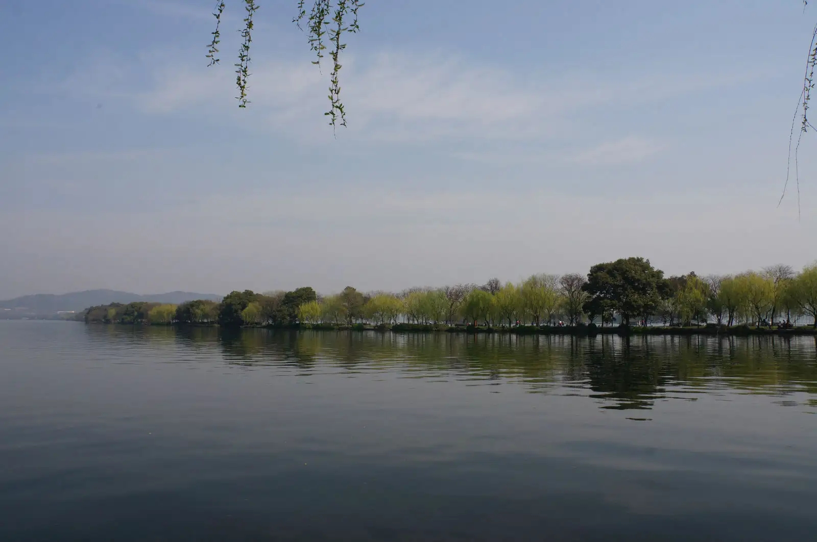 不交税触犯法律规定,不交税为啥不用坐牢