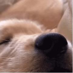 沙雕搞笑表情包头像,沙雕搞笑表情包图片静图