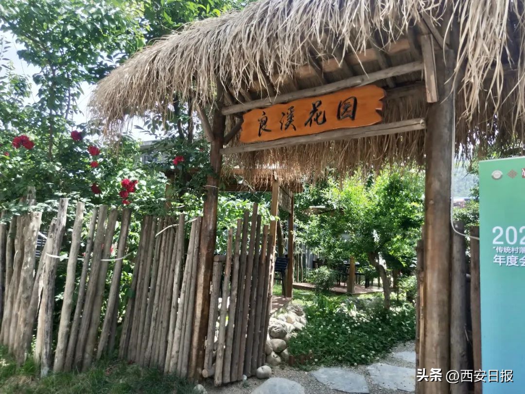 秋天是秦岭打卡网红圣地,秦岭网红打卡景点