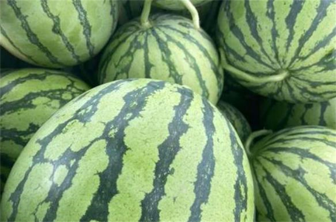 如何辨别西瓜熟没熟,如何分辨西瓜熟没熟