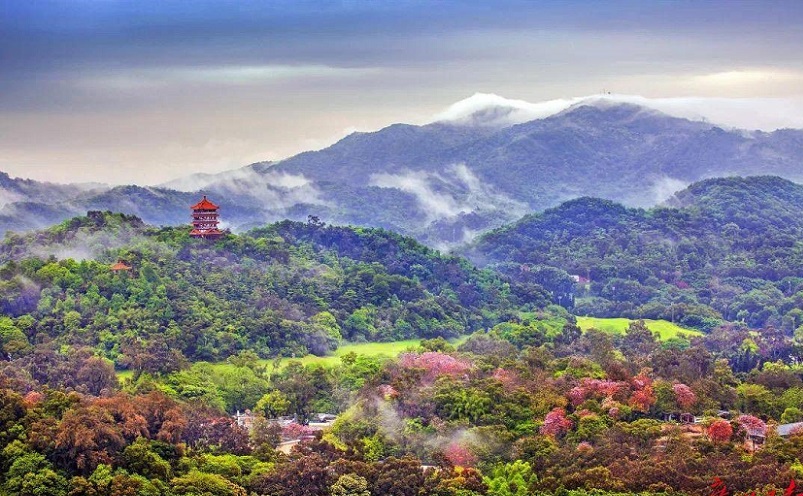 广州游玩必去十大景点推荐,广州旅游必去十大景点排名攻略