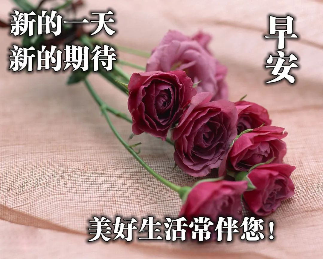 2022缘分早上好图片大全送给真心朋友早上好问候带给你一天好心情