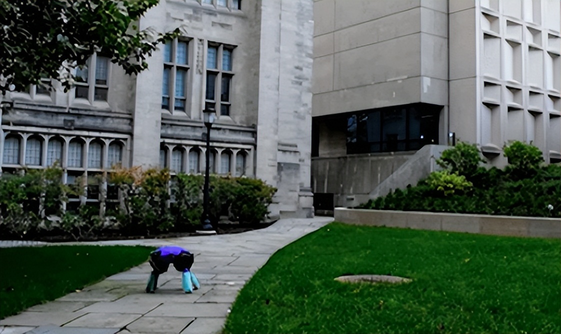 科企岛：海龟机器人，在水中和陆地上游泳