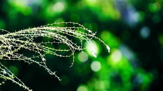 数学名词中的人生哲理,数学定理的人生哲理