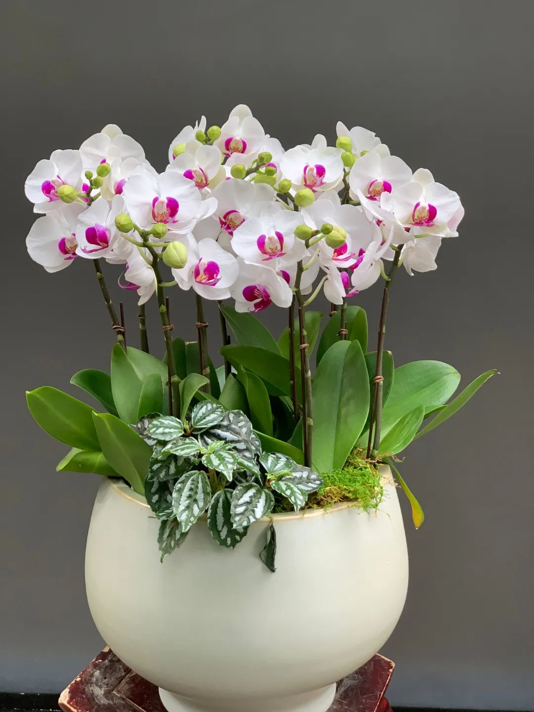 企业团单怎么做,企业怎么组织插花活动