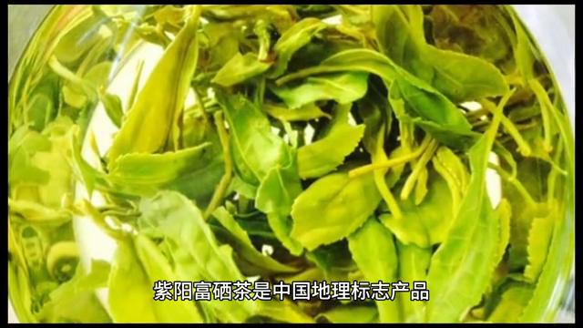 陕西省安康市简介概况,陕西省安康市官网