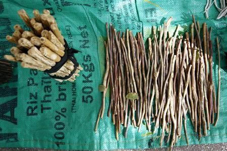 古老大陆：非洲的木头牙刷