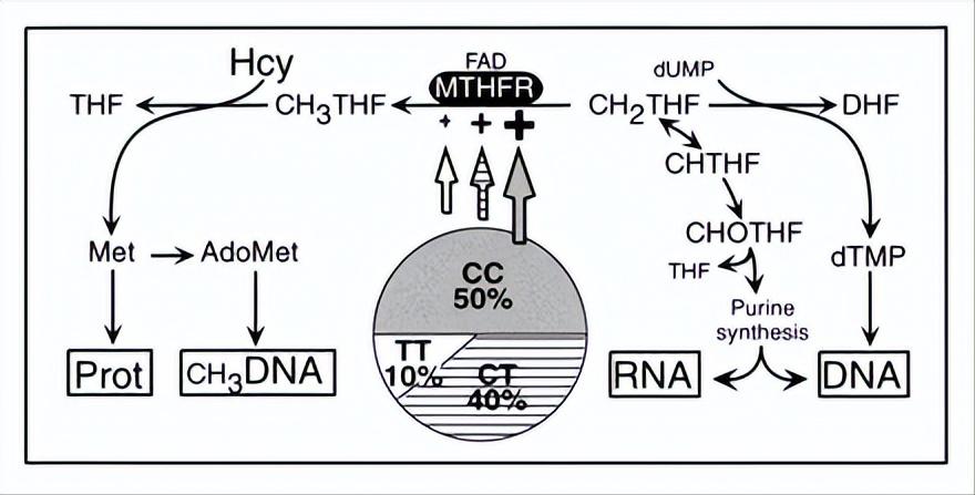为什么皮肤过敏吃药没有效果,皮肤过敏组胺阳性能不能自愈