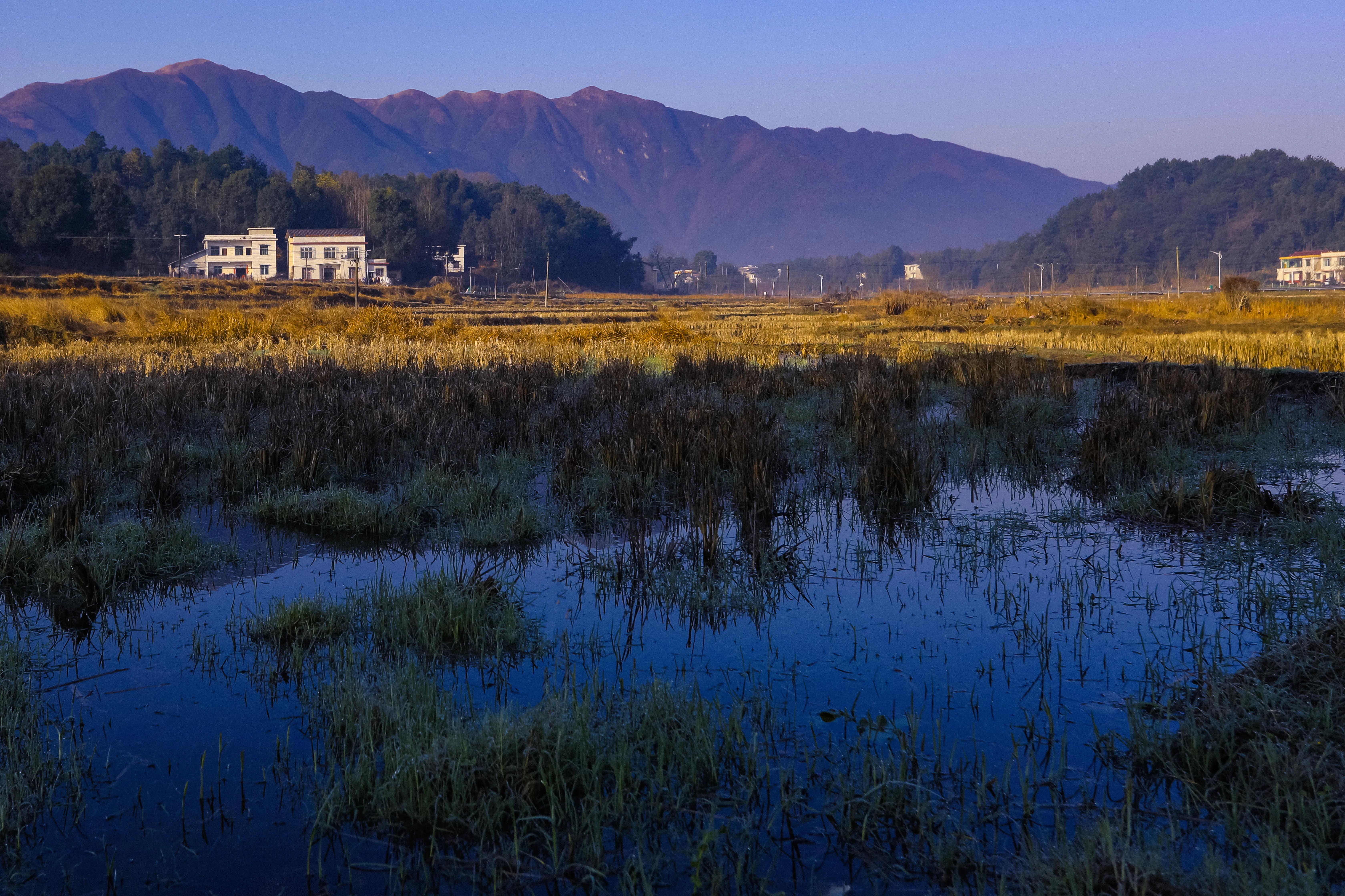 怎么样拍水流,怎么样拍水果抖音视频教程
