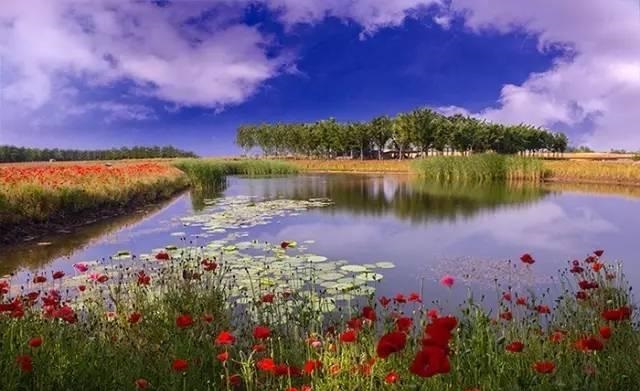 江苏的冷门景点排名,江苏比较冷门但是好玩的地方