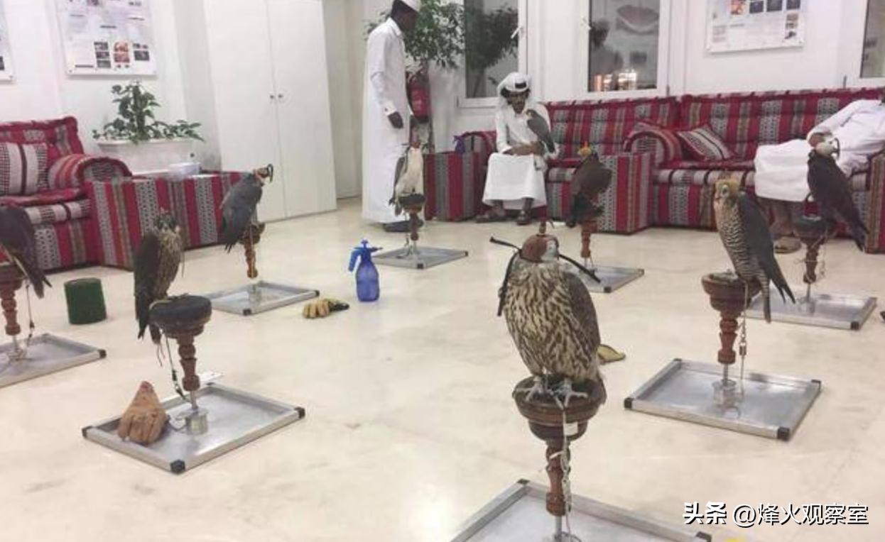 带你走进真实的卡塔尔：你应该知道的15个关于卡塔尔的冷知识