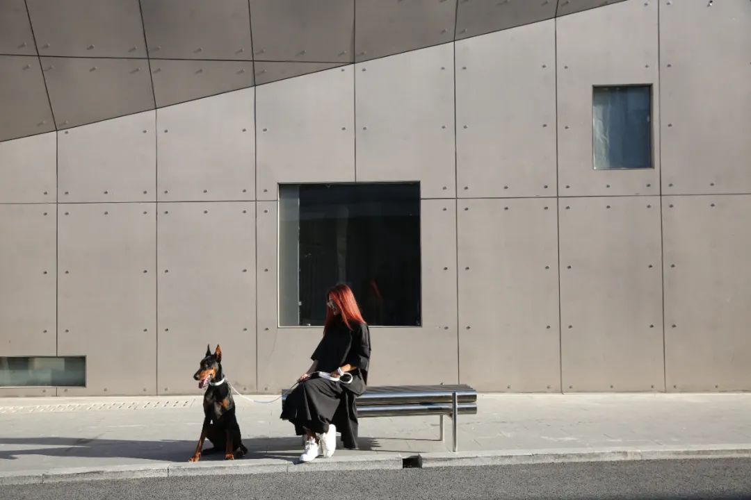 为宠物而设计,极简宠物产品