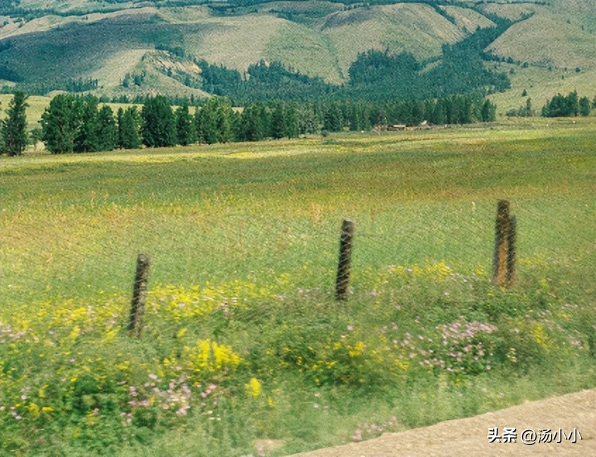 买的房子烂尾了能退钱吗,我买的房子烂尾了怎么办