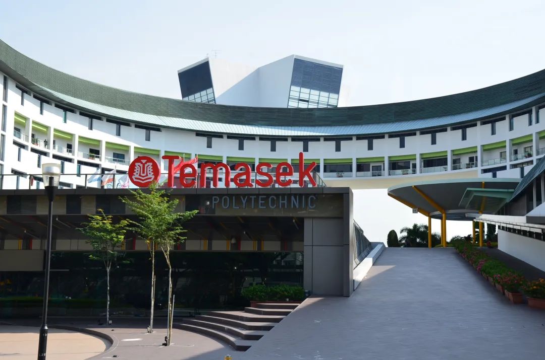 太low英语单词,太low英文翻译