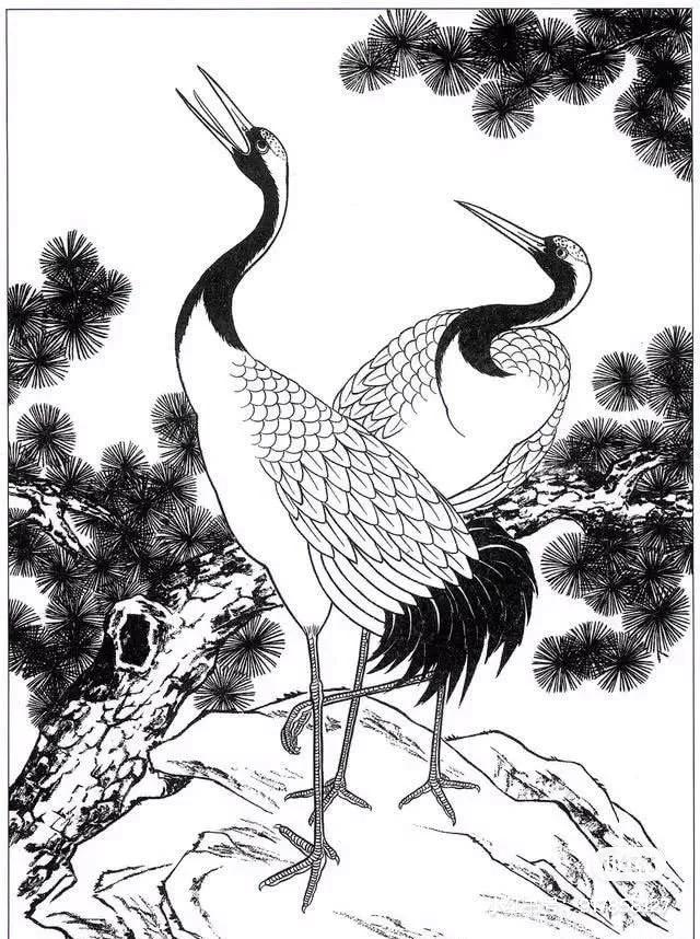 丹顶鹤女孩的故事,丹顶鹤是国鸟吗