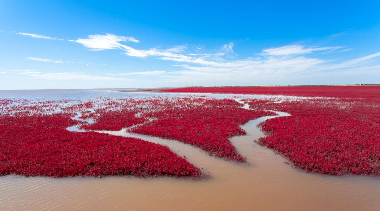 辽宁旅游7天6晚,辽宁7天游