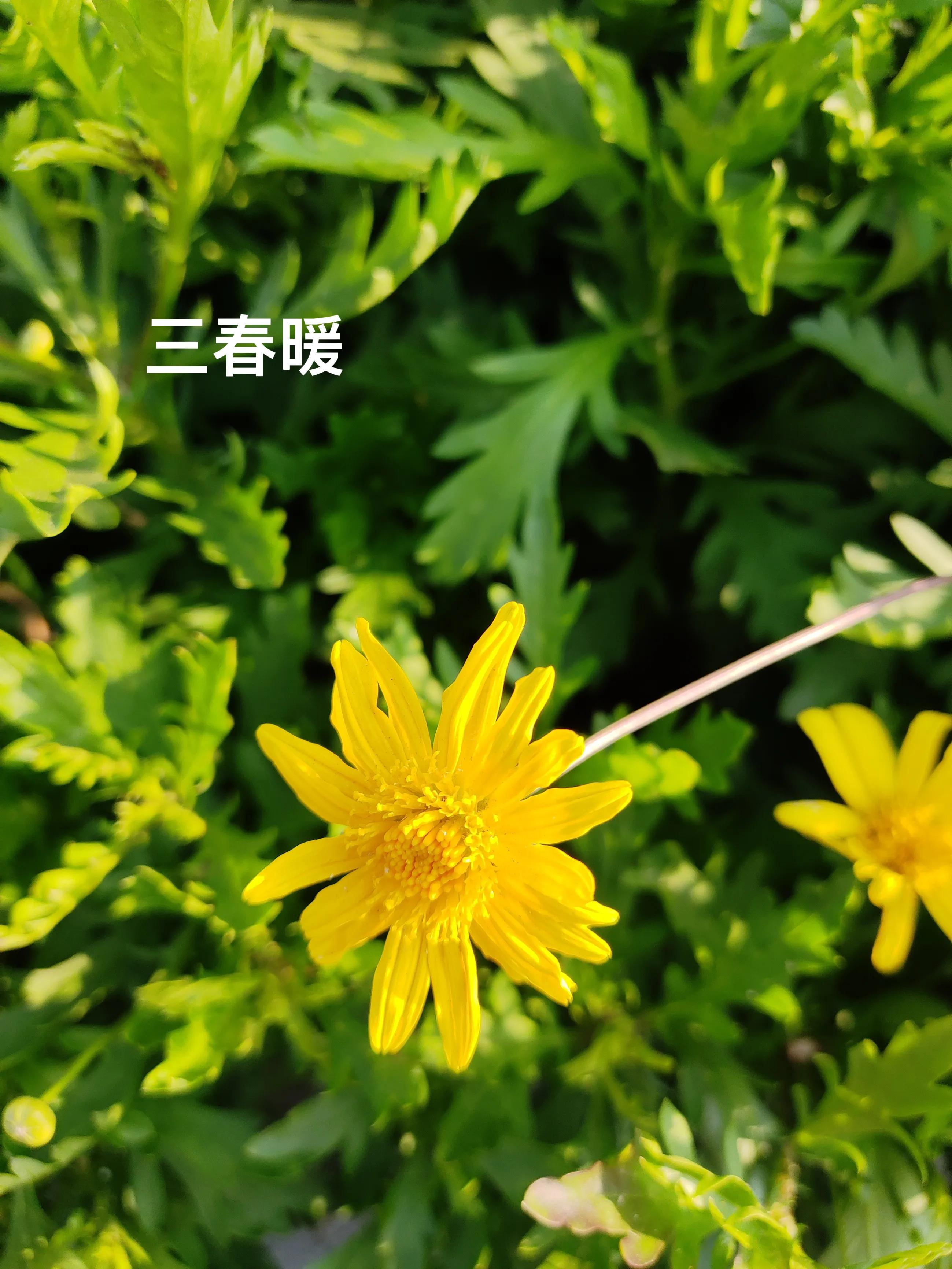 人性情绪之七情六欲,人都有七情六欲和小情绪