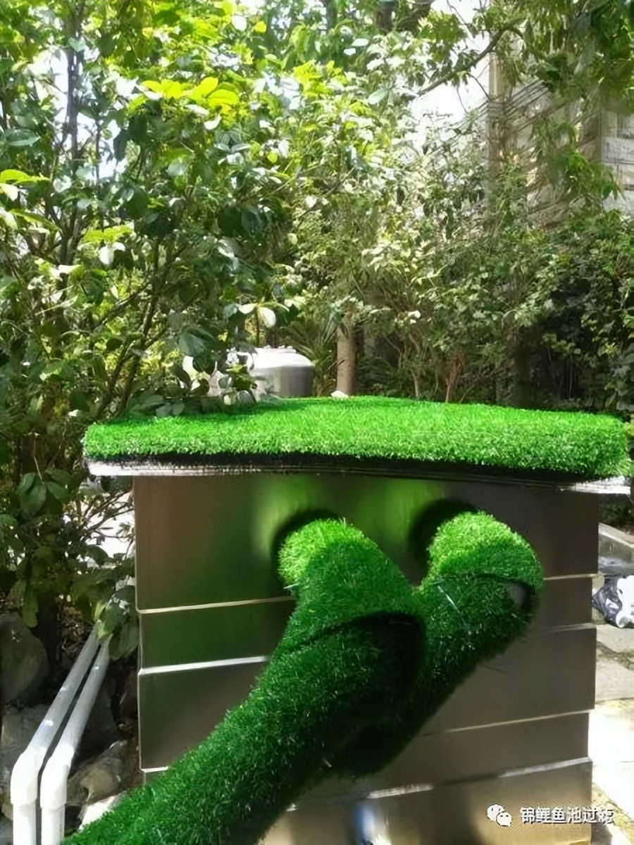 锦鲤鱼池下过滤池底粪便如何清除,锦鲤鱼池过滤仓用什么做盖子好