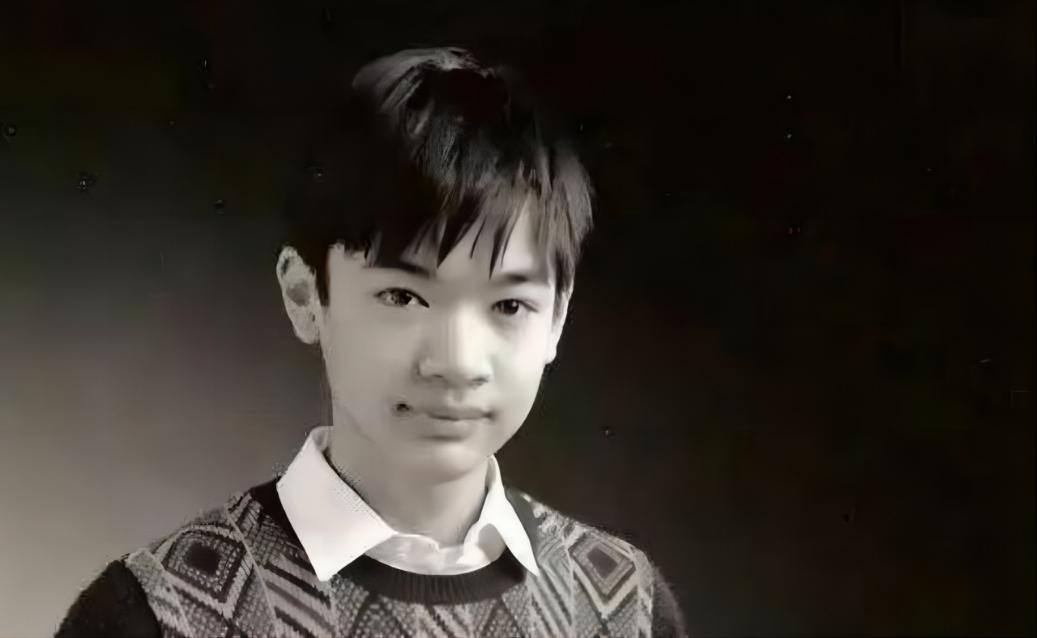 智商230的华裔数学家陶哲轩,华裔数学家陶哲轩智商