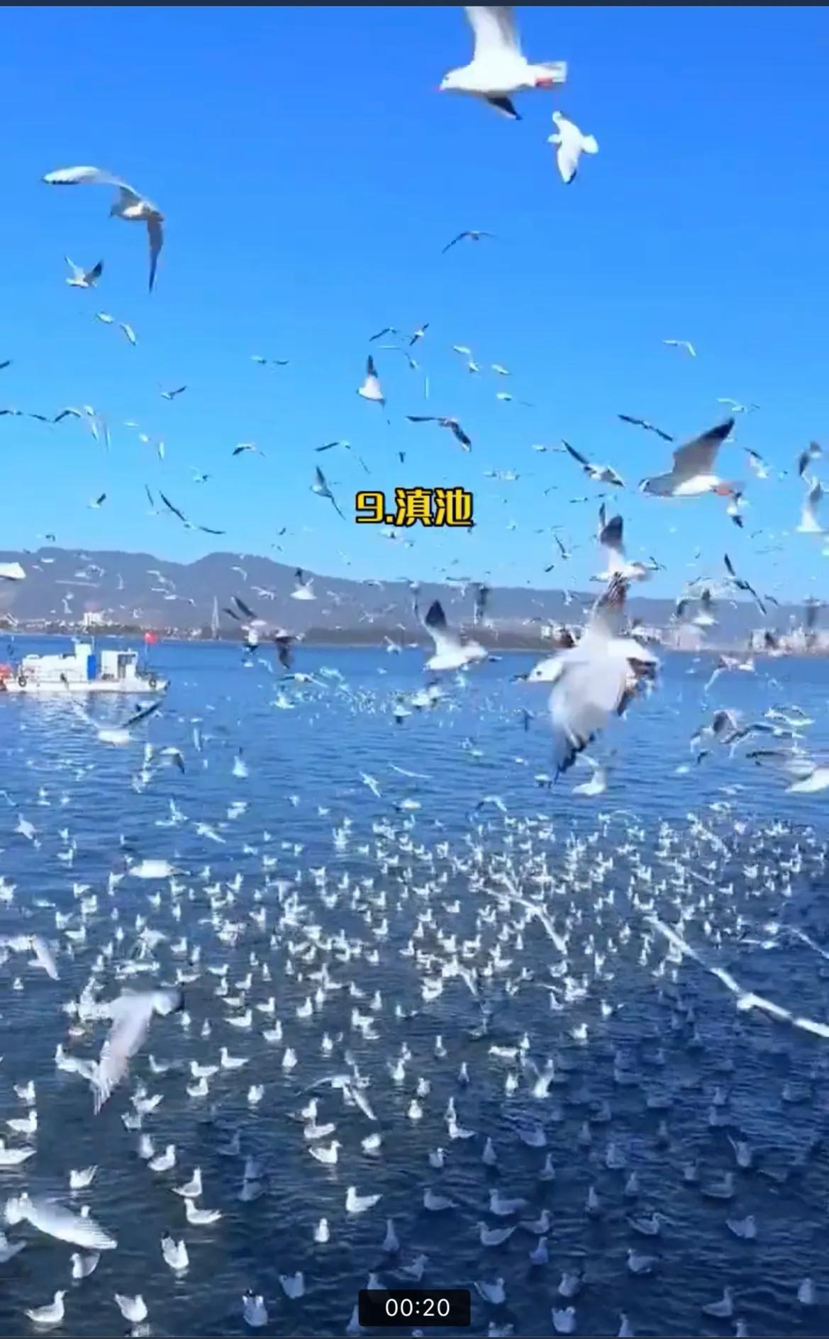 云南有哪些好看好玩的地方,云南冬季好玩的地方推荐