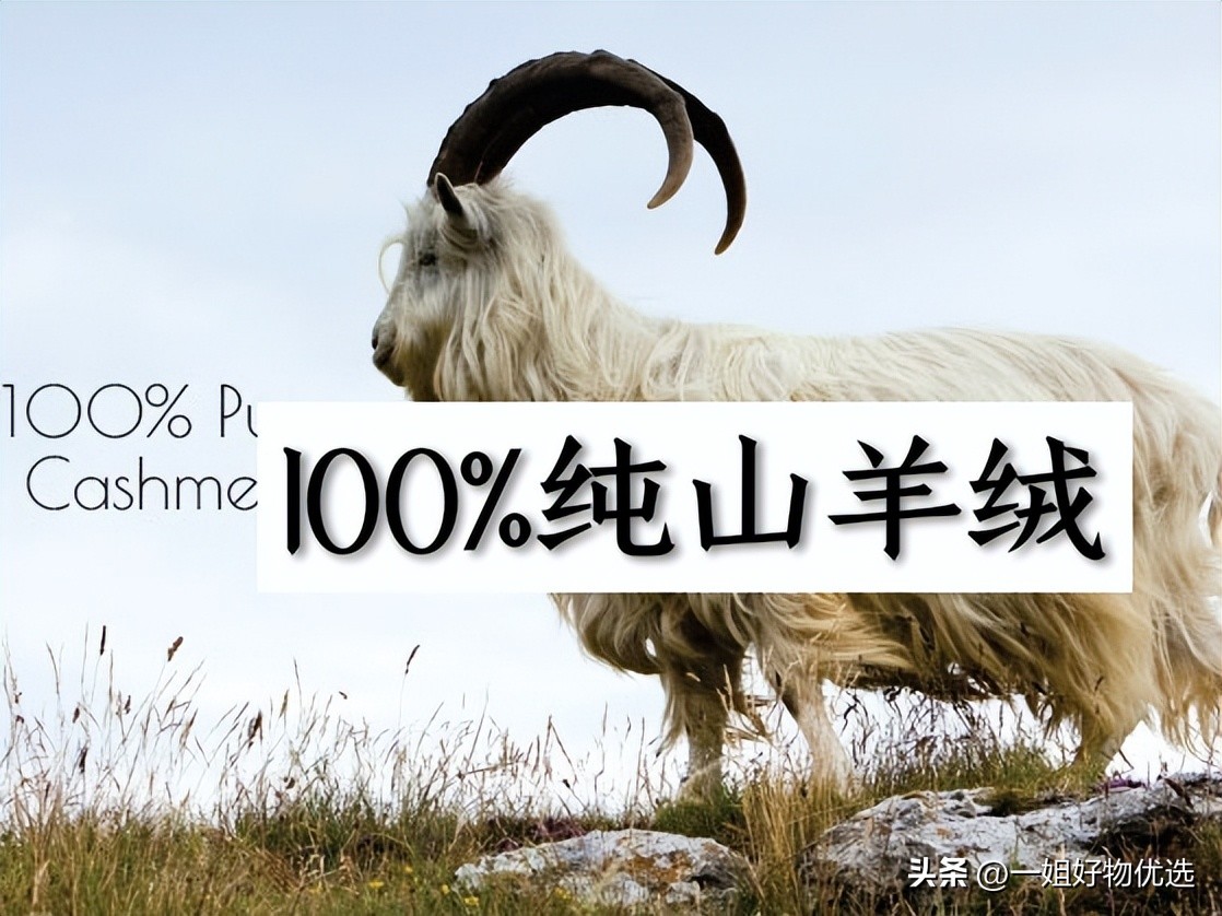 羊绒围巾推荐秋冬高质量,羊绒围巾推荐