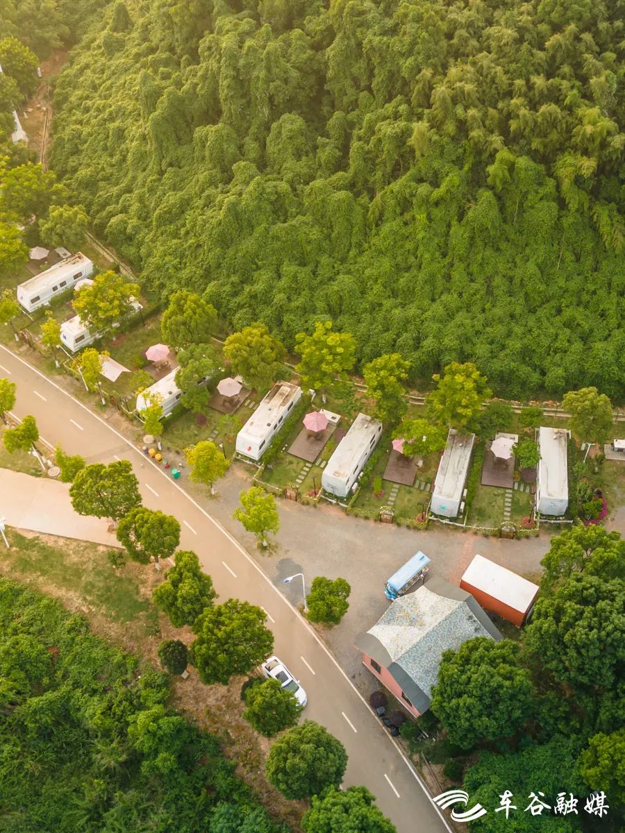 最美绿道骑行攻略,淘金山骑行绿道和东湖骑行绿道