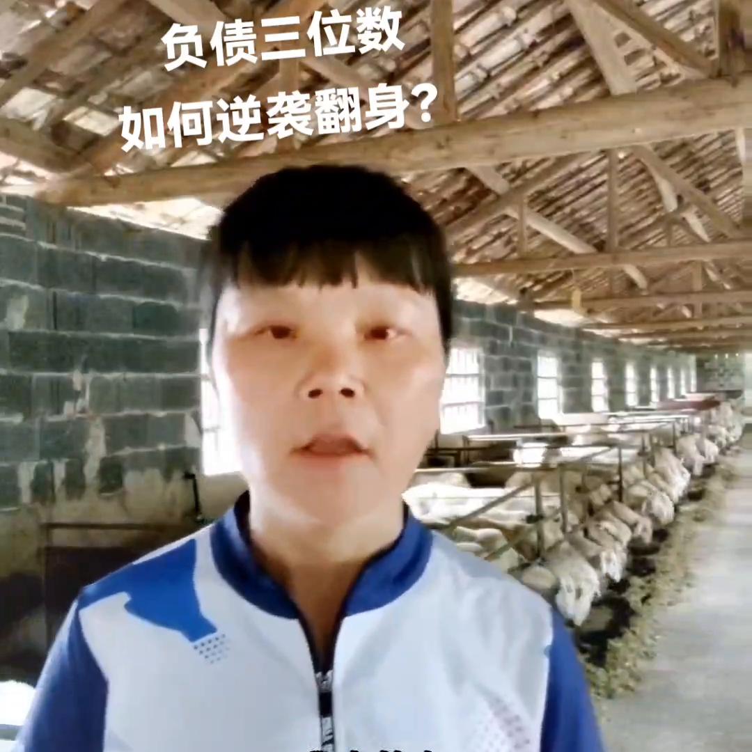 普通七O后负债三位数如何翻身逆袭小胡竹羊#三农