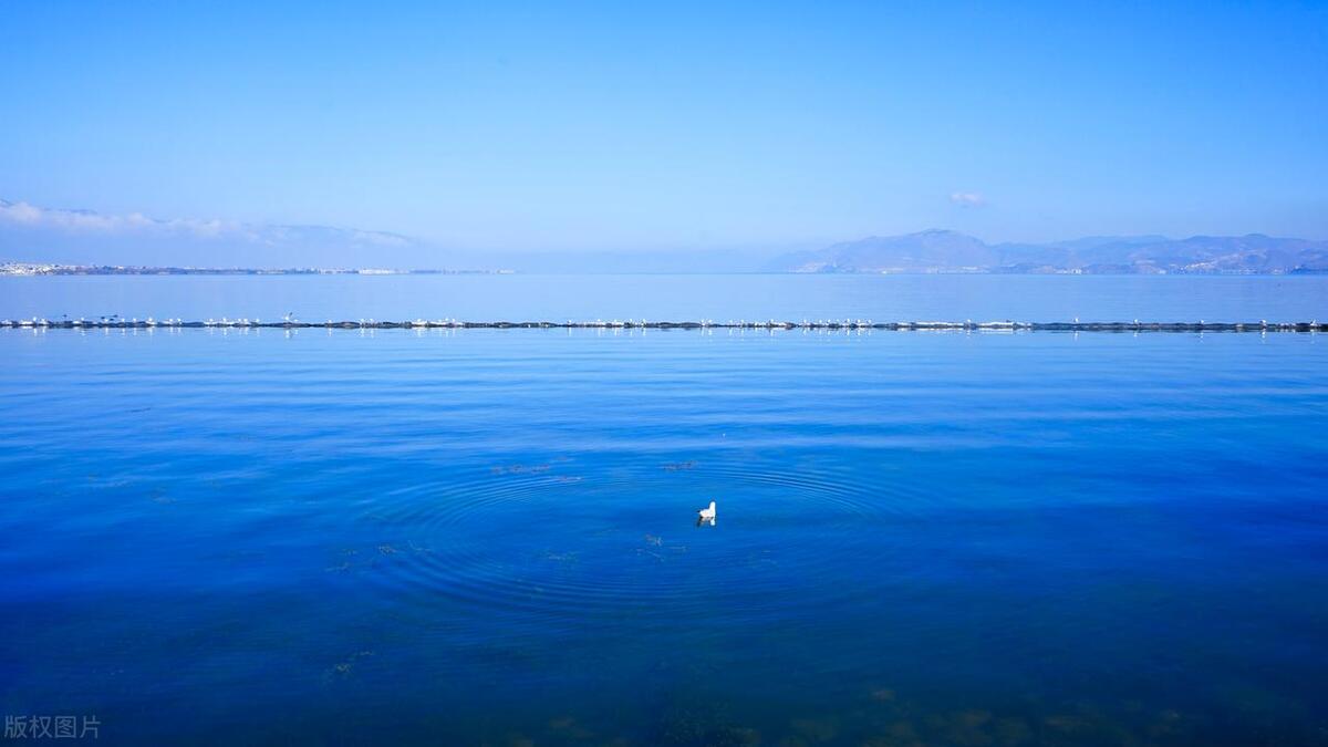 云南旅游五天四夜线路攻略,云南旅游7天6晚旅游攻略大全