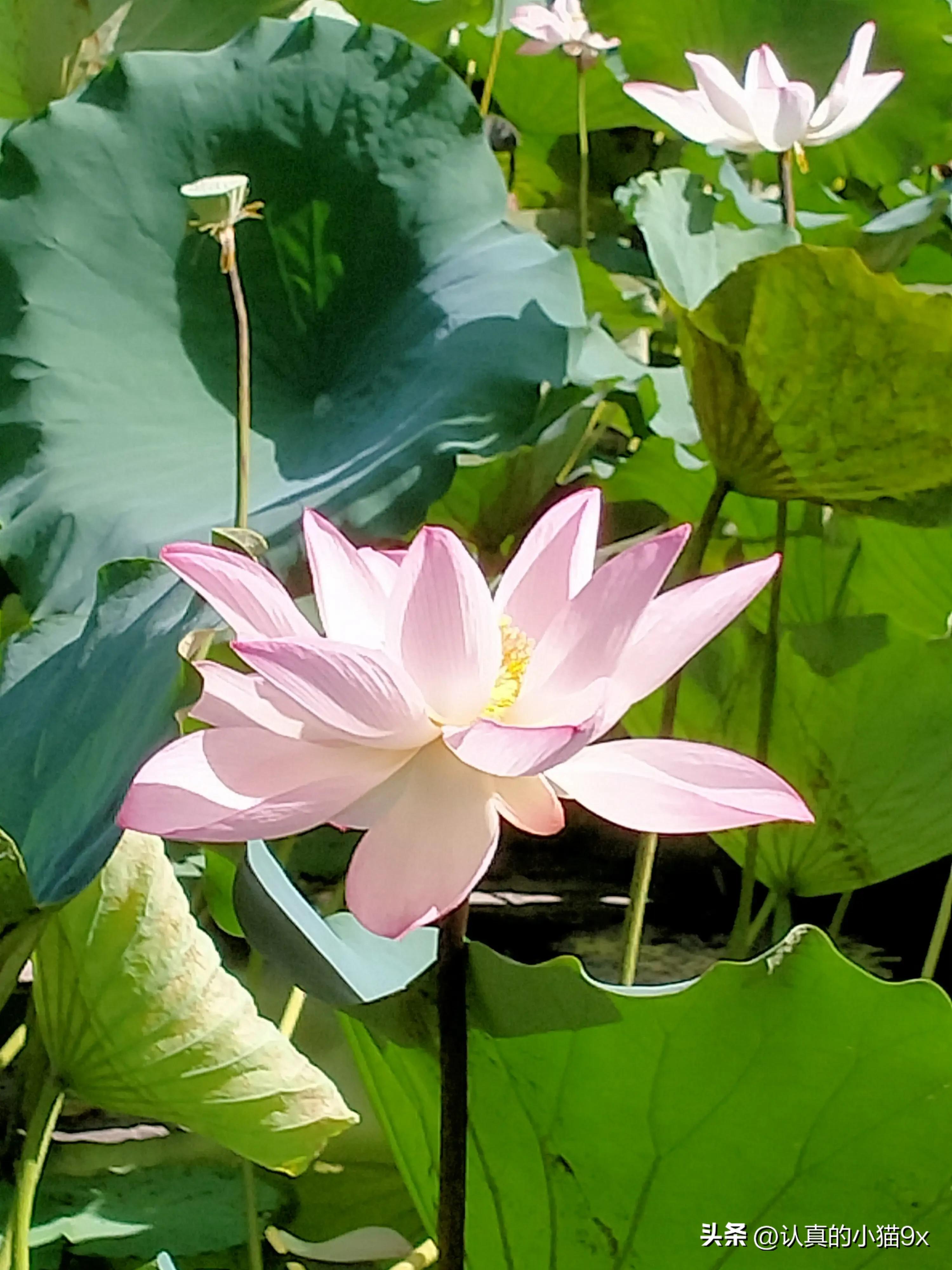 女儿14岁不想读书了怎么办,女儿读书读傻了咋办