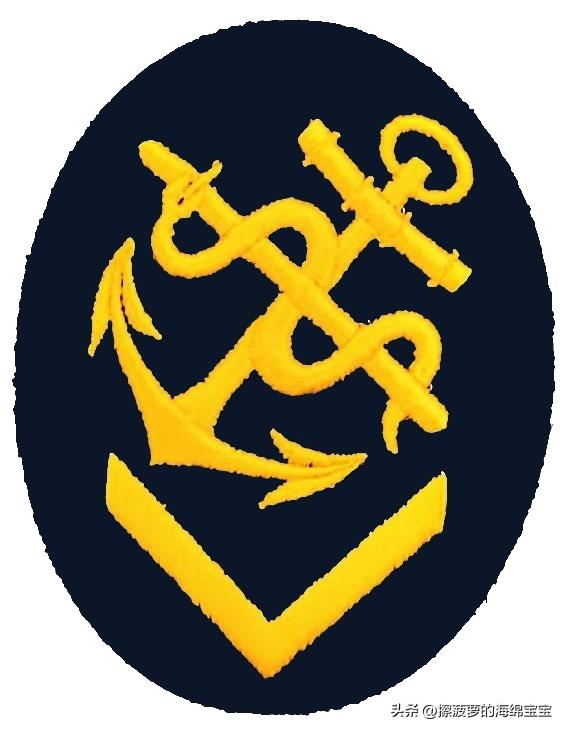 二战德国国防军医疗兵军衔标志