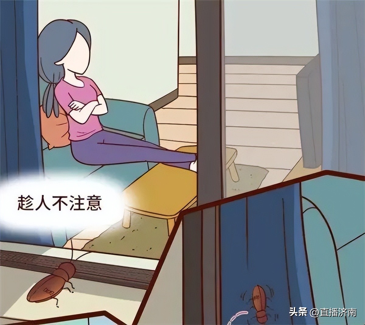 蟑螂最怕一招教你彻底消灭蟑螂,不知道蟑螂在哪里如何消灭