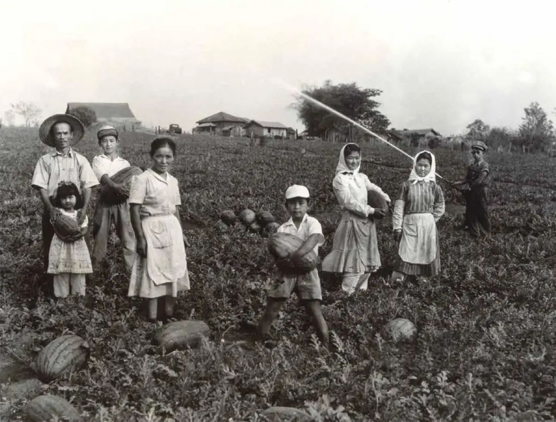 足球强国巴西足球有多强,为什么巴西是体育强国